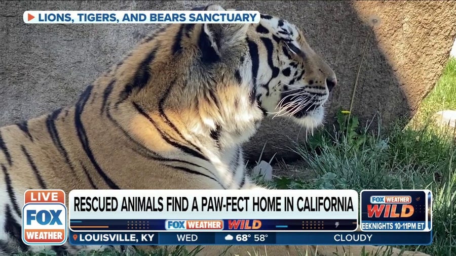 California non-profit facility rescues and rehabilitates neglected animals