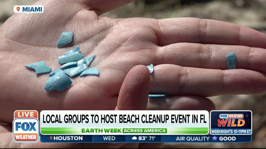 Clean Miami Beach prevents trash, plastic from entering ocean