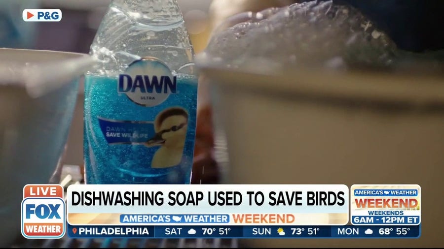 Dishwashing soap used to save birds in California