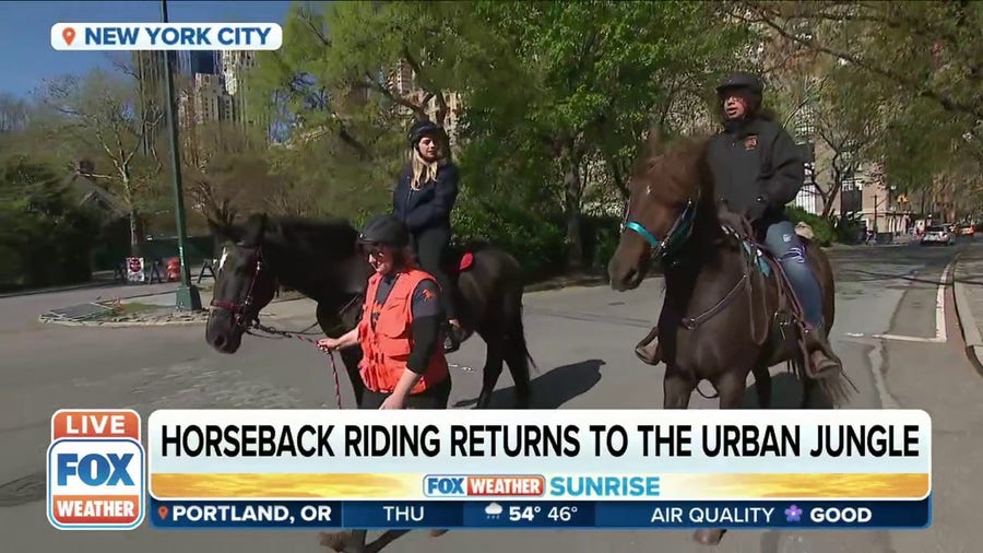 Horseback riding returns to Central Park in NYC