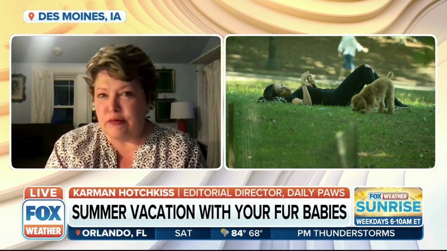 Summer vacay with your fur babies: Must-know tips when traveling with your pets