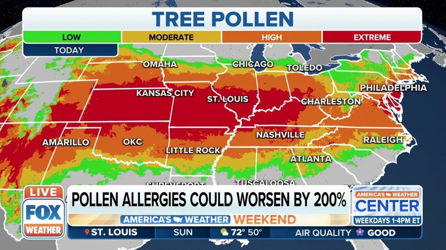 Pollen allergies could increase by 200% in the US this century