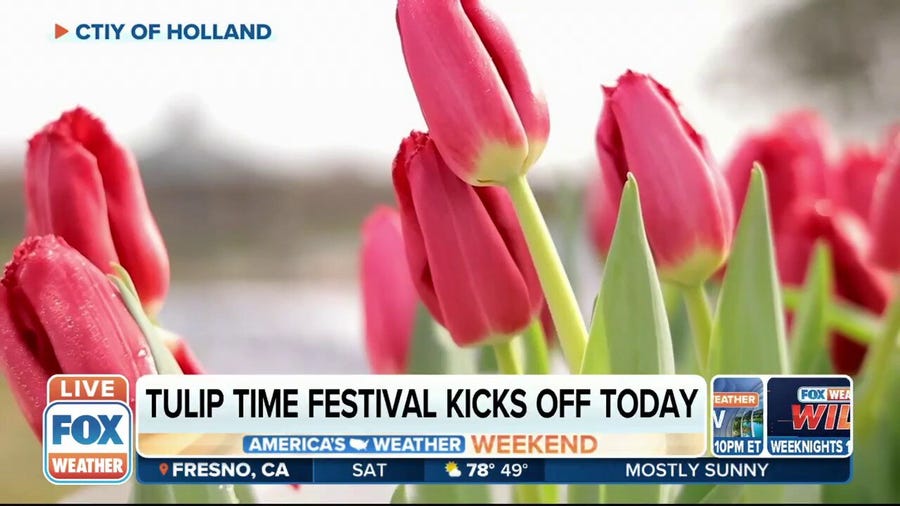 Tulip Time Festival celebrates the springtime bloom