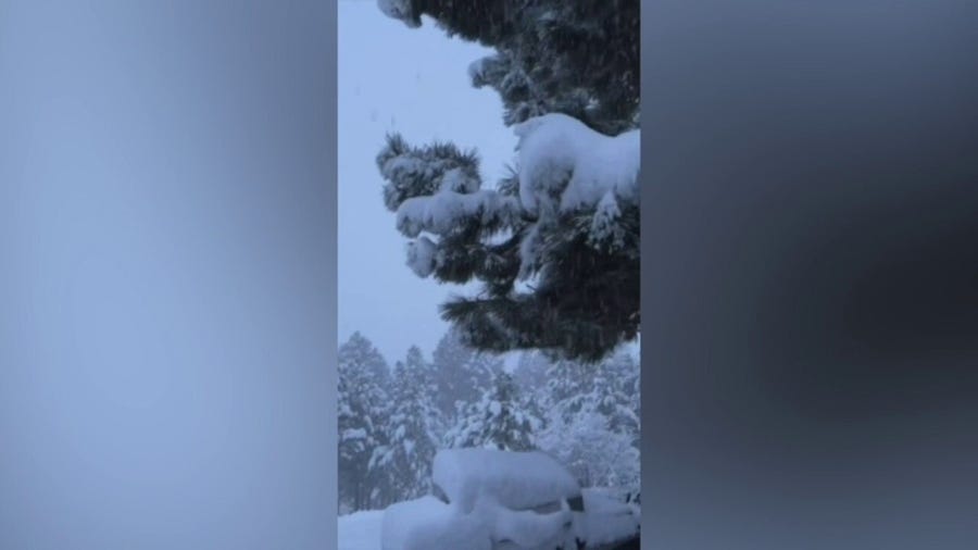 Rare May snowstorm hits Idaho