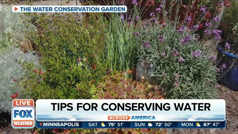 How to conserve water and create a beautiful garden