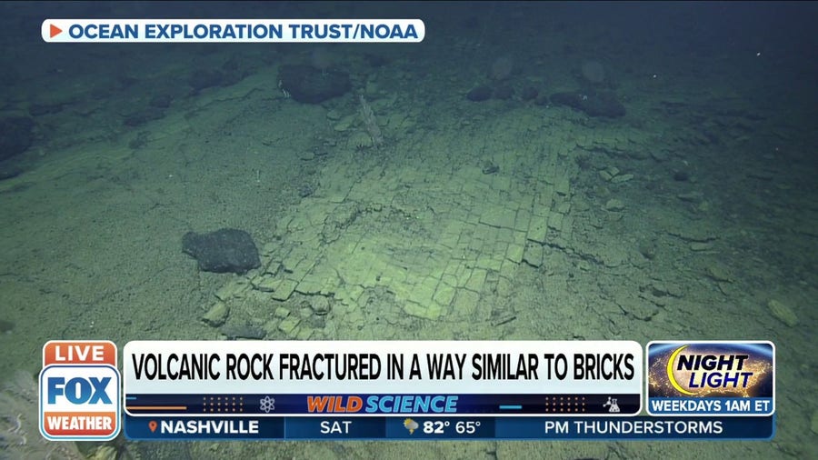 'Yellow Brick Road' found in ocean off Hawaii may be 100 million years old
