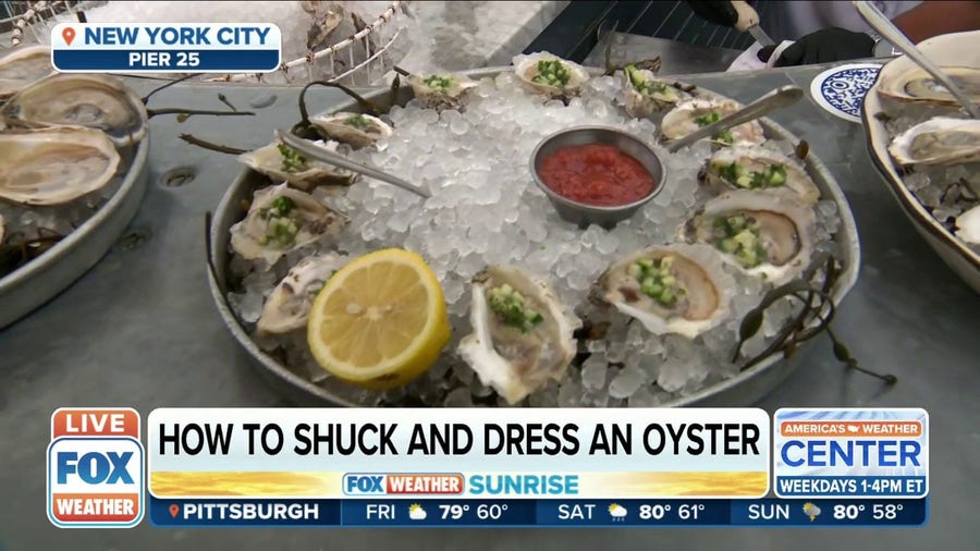 Experiencing the Grand Banks Oyster Bar aboard a historic fishing boat