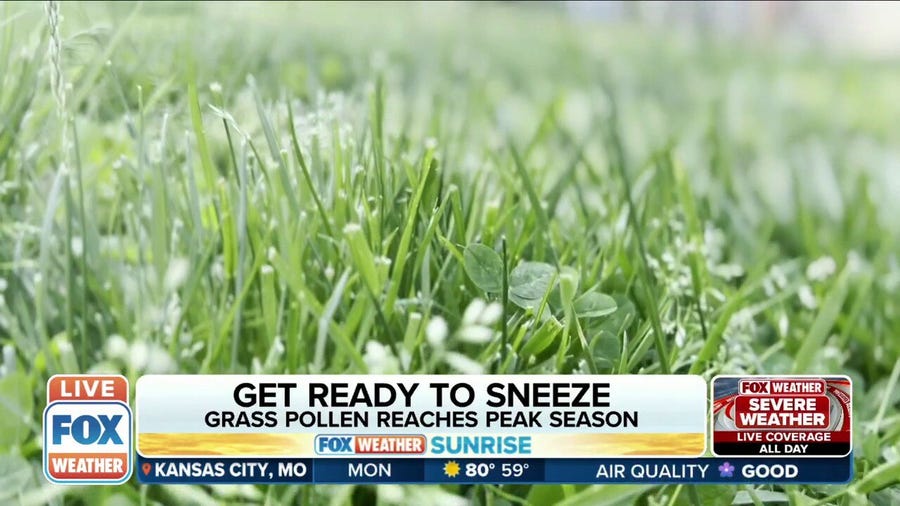 Worst metro areas for grass allergies this summer