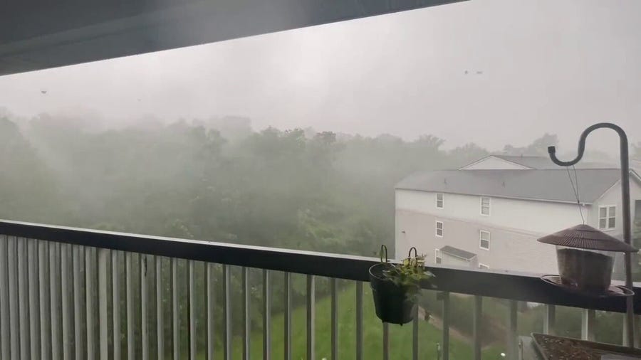 Strong wind, rain whip trees in northern Virginia