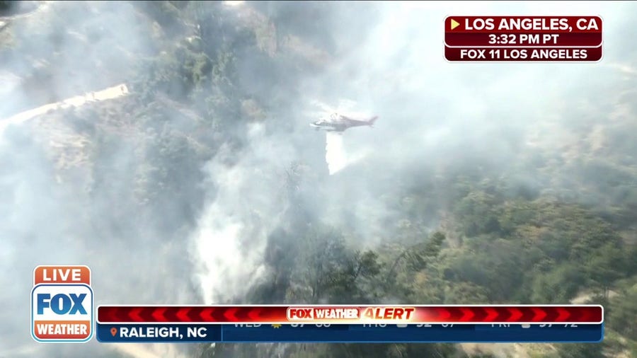 Brush fire burns in Los Angeles