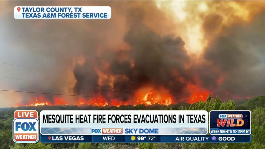 Wildfire forces evacuations in Taylor County, TX