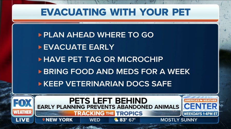 How to evacuate with your pets during hurricane season