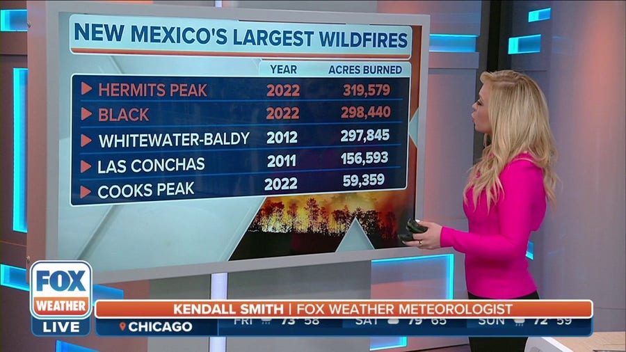 Black Fire becomes second largest fire in New Mexico's history