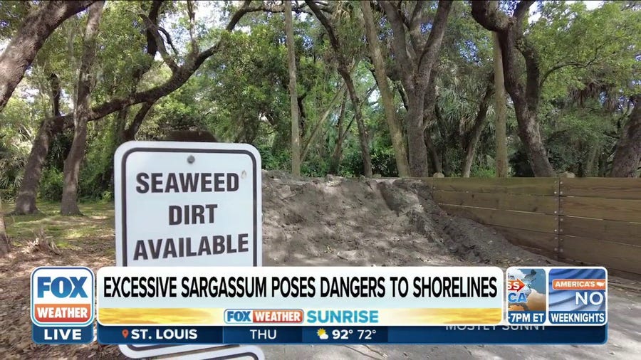 Fort Lauderdale repurposes seaweed to use as soil