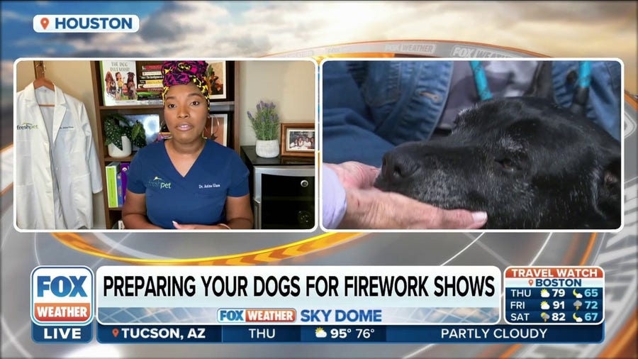 Preparing your dogs for the booming sounds of fireworks