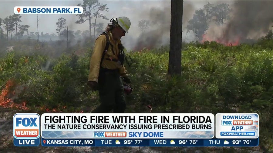 Some land is purposefully burned to protect it from future wildfires in Florida