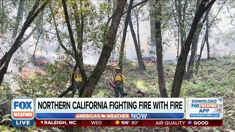 Northern California focuses on prescribed burns to boost forest health