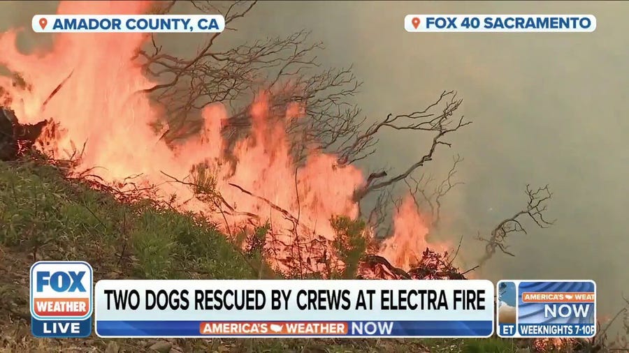 Electra Fire burns in California - firefighters save abandoned dogs