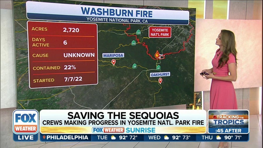 Race is on to save iconic sequoia trees as Washburn Fire continues to grow