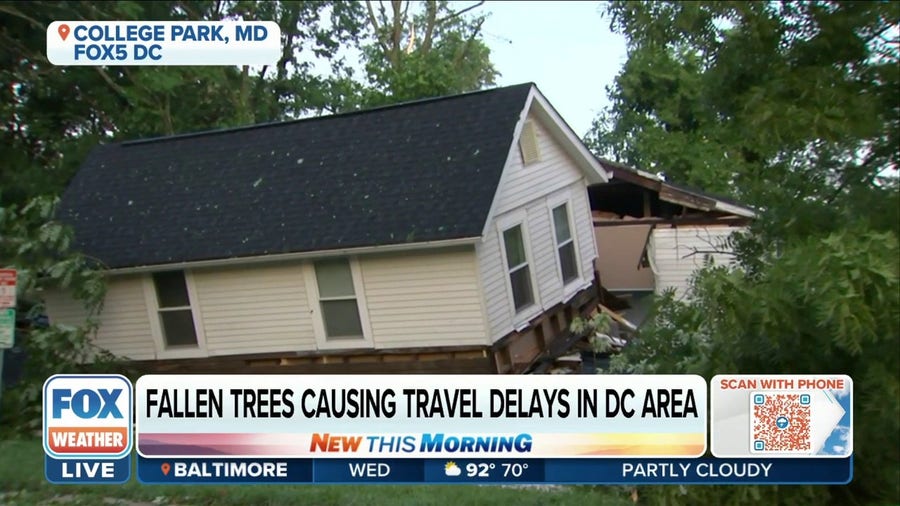 Fallen trees causing travel delays, power outages in Washington, D.C. area