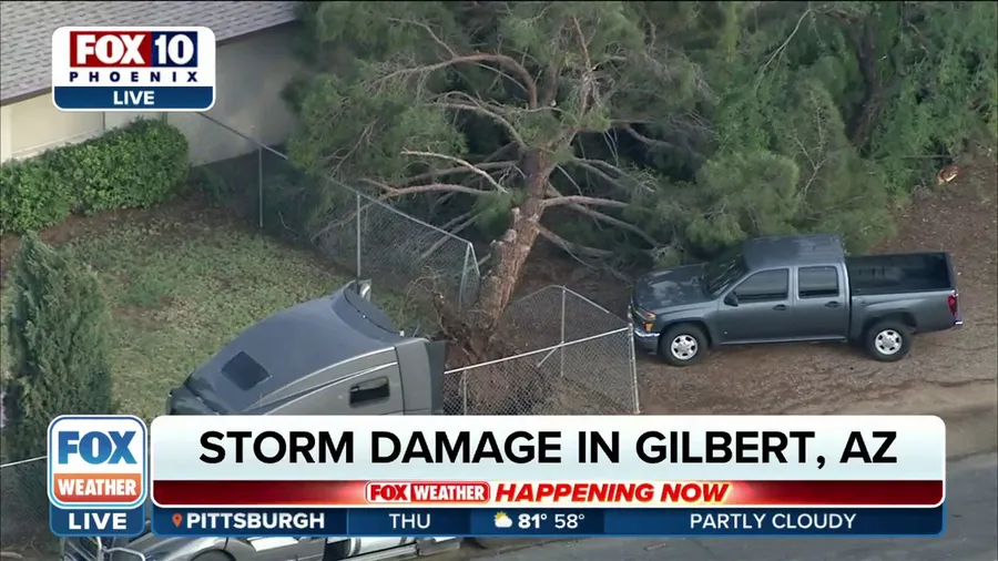 Overnight storm leaves behind damage in Gilbert, Arizona