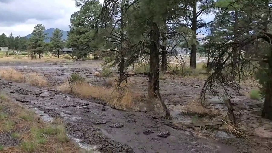 Flooding takes over road in Flagstaff, AZ