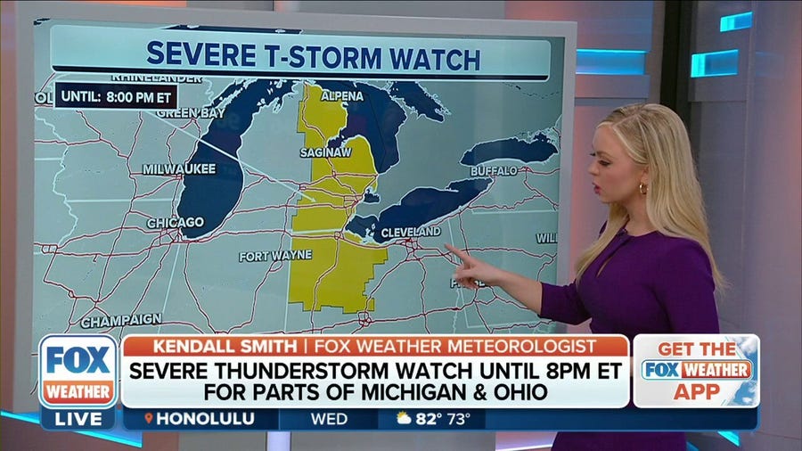 Severe Thunderstorm Watch issued for parts of Michigan and Ohio
