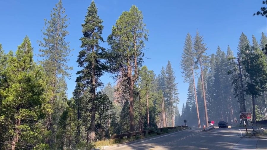 Firefighters gain upper hand on wildfire burning in Yosemite National Park