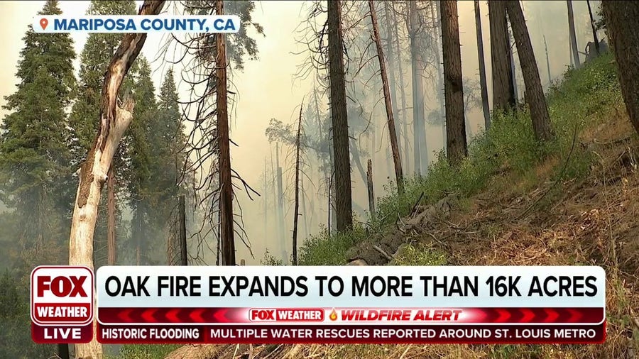 Crews make progress slowing the spread of California's Oak Fire burning near Yosemite