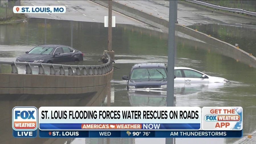 Six people, six dogs rescued from one flooded St. Louis roadway