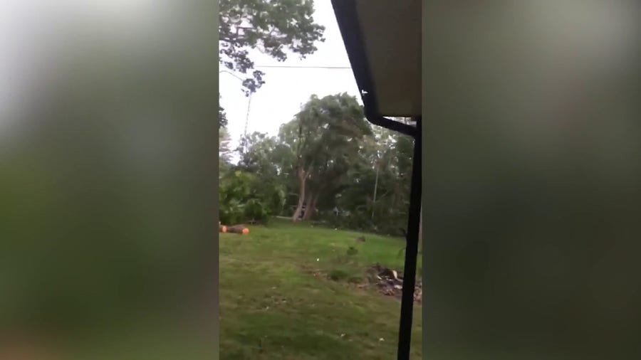 Storms snap tree branches in Michigan