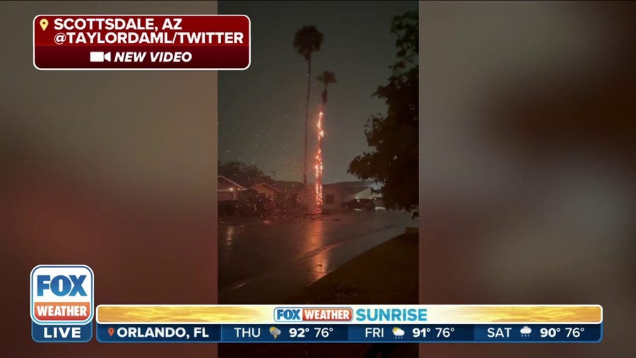 Watch: Lightning strike sets tree on fire in Scottsdale, AZ