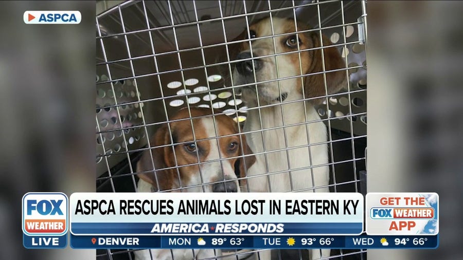 ASPCA helping relocate homeless animals impacted by historic Kentucky flooding
