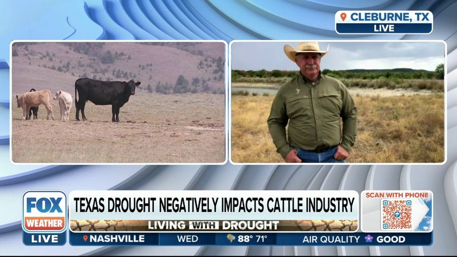 Cattle farming industry in Texas hit hard by drought