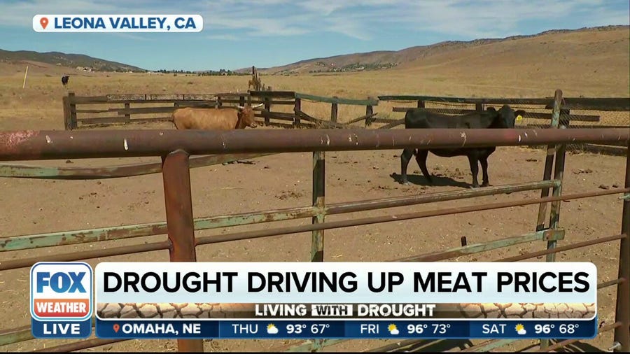 Drought leading to higher beef prices