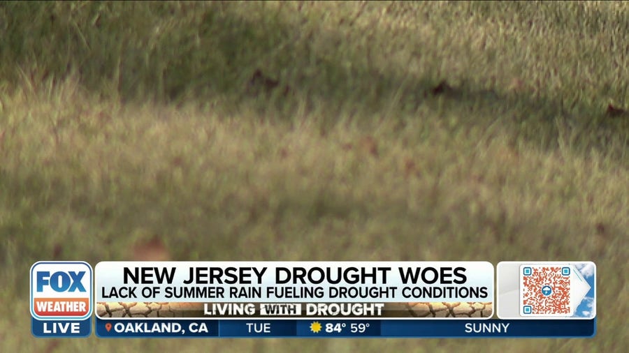 New Jersey Under Statewide Drought Watch, Residents Asked To Conserve ...