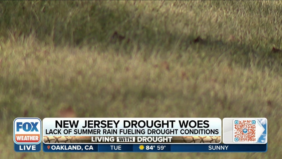 New Jersey under statewide drought watch, residents asked to conserve water