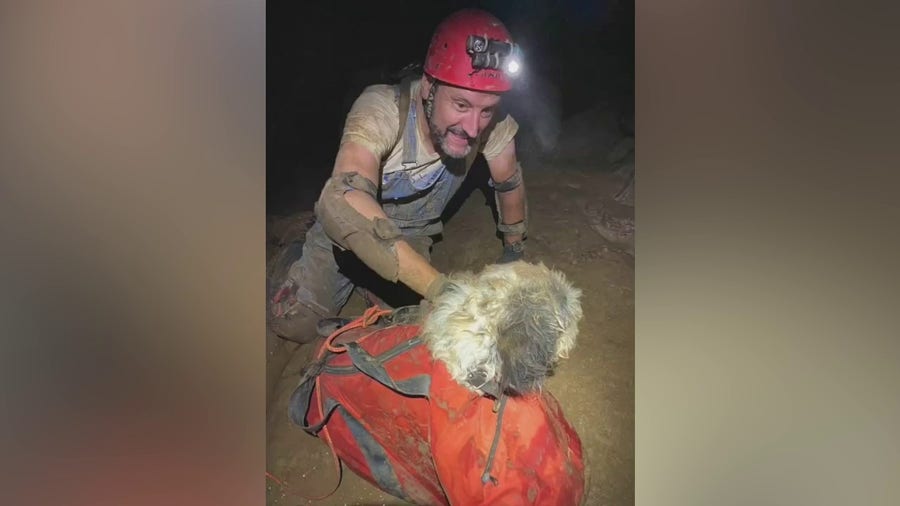 Missing dog rescued from an underground cave