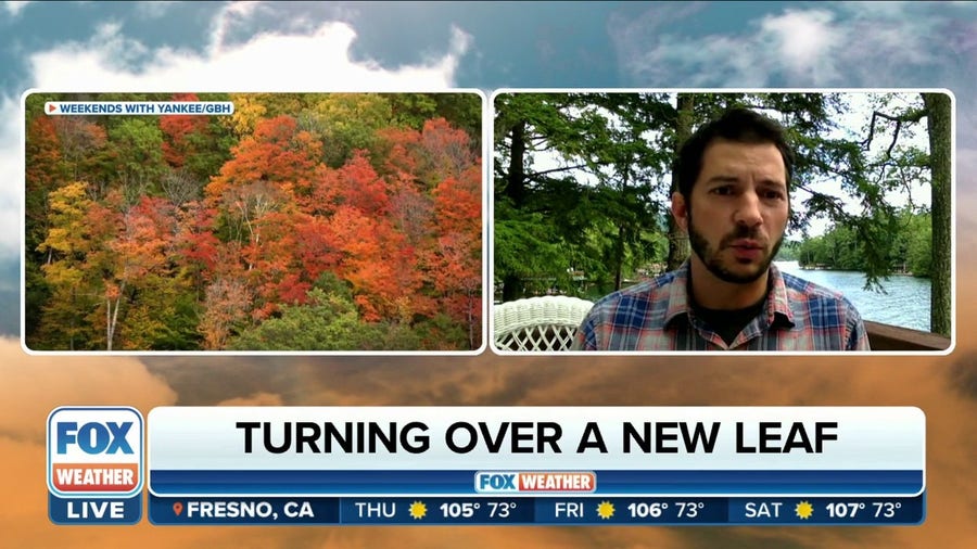 How does weather impact fall foliage?