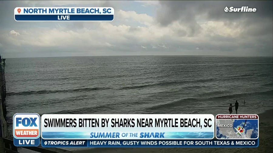 Two swimmers bitten by sharks in South Carolina