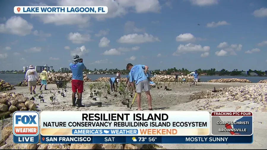 Resilient Island: Nature Conservancy rebuilding island ecosystem
