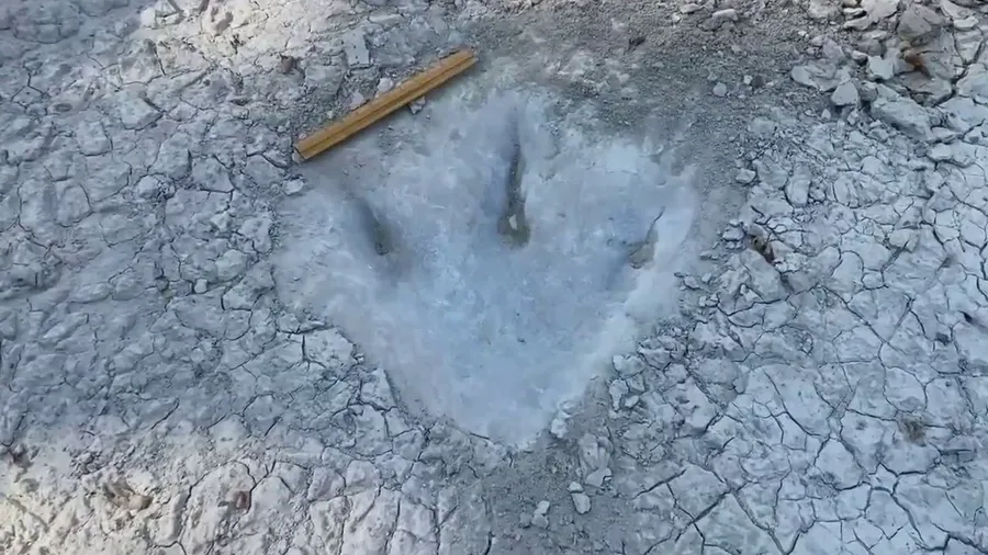 Dinosaur tracks uncovered in Texas amid drought