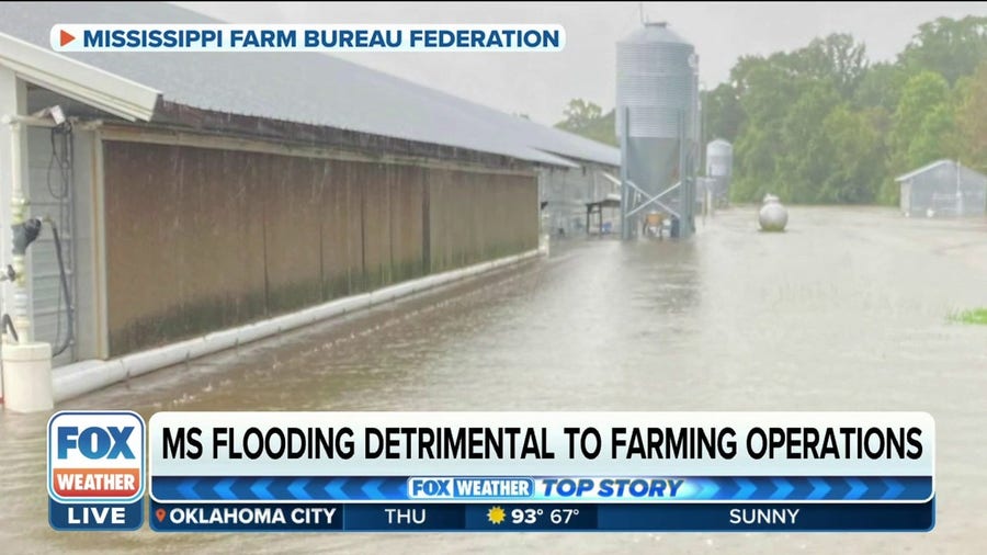 Flooding will have done 'widespread damage' to Mississippi farming, expert says