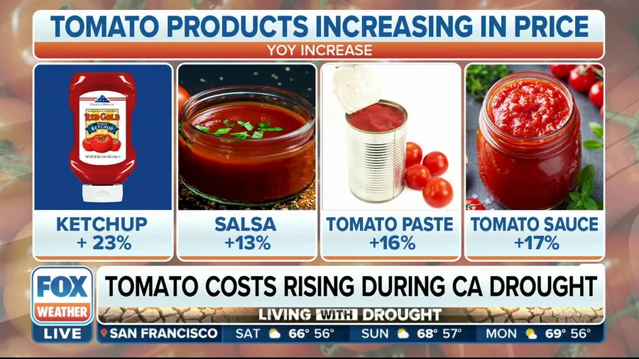 'Mega-drought' hitting California tomato production