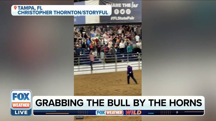 Man films bull running into crowd during his first rodeo