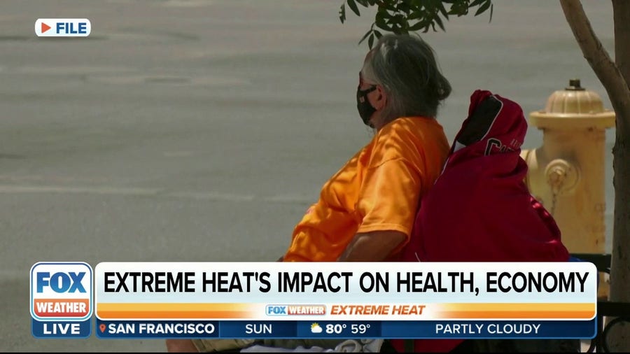 Extreme heat's impact on health, economy
