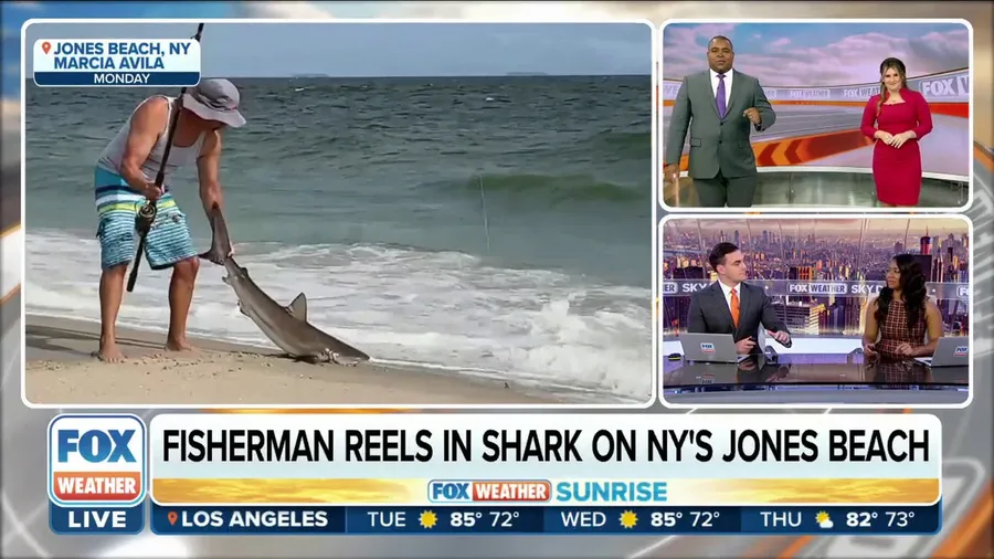 Fisherman reels in shark on NY's Jones Beach