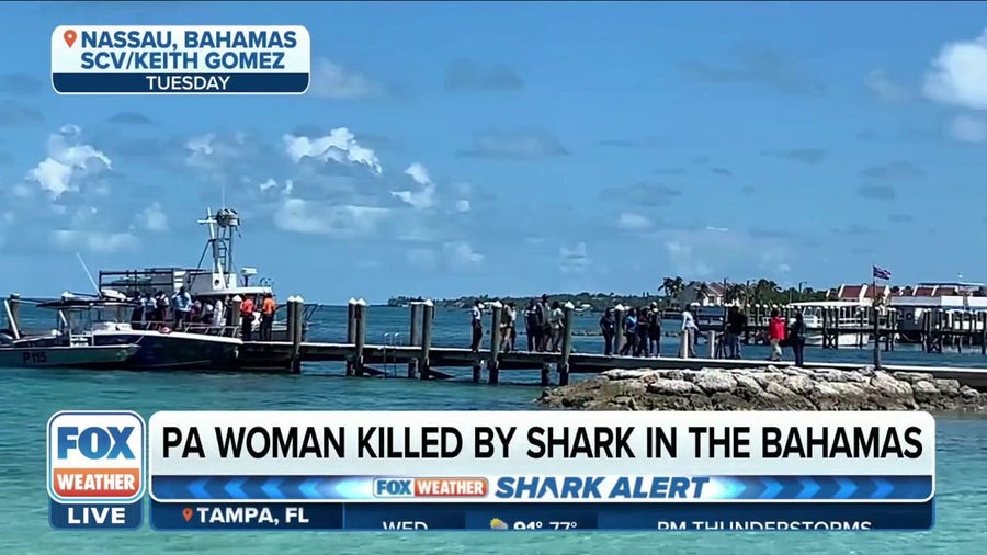 Pennsylvania woman killed by shark while snorkeling in the Bahamas