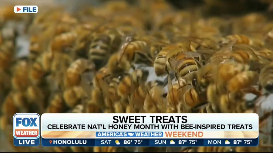 Celebrate National Honey Month with these "bee-inspired" treats