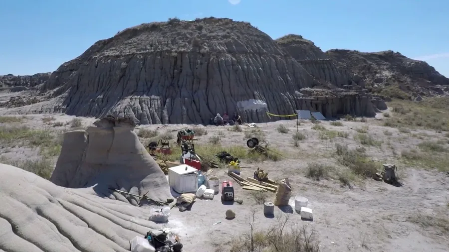 Time-lapse video of 'dinosaur mummy' excavation in Canada